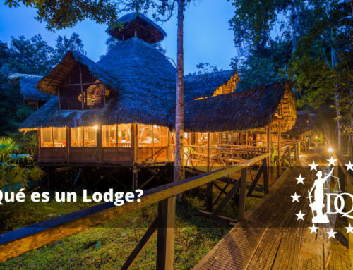 ¿Qué es un Lodge? y Tipos de Lodge